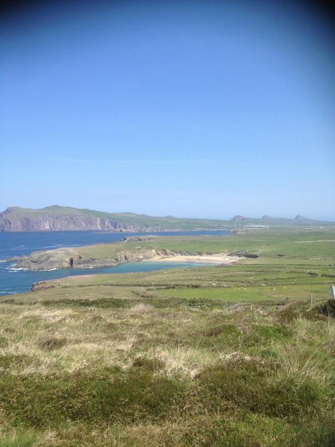 Bed and Breakfast Brownes Emlagh East Exteriér fotografie